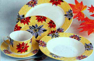 Porcelain Dinner Set