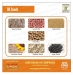 Sell best quality of Oil Seeds .