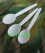 100%  compostable PSM soup spoon - Result of PSM