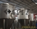 Fermenter--beer equipment,brewing equipment - Result of fermentation