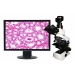 Digital Microscope - Result of Computer Desk