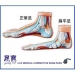 Comfort Insoles - Result of nike jordan shoes