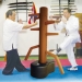 image of Martial Arts,Boxing,Gymnastics -  Wing Chun Dummy Trainer