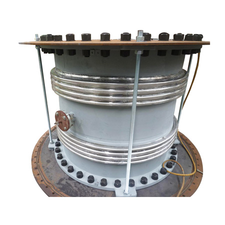 SS Expansion Joints
