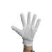 image of Cleanroom Safety - Cotton Gloves