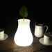 LED Vase Light - Result of kitchen towel