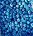 Blueberry Anthocyanin - Result of Blueberry