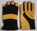 Leather Glove, Driving Glove & Sports Gloves - Result of Examination Gloves