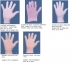 100% Cotton Glove, Interlock Glove & White Gloves - Result of Examination Gloves