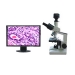 Digital Biomicroscope - Result of Microscope