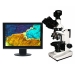 Digital Polarizing Microscope - Result of Microscope