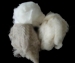 Cashmere Fibre - Result of dehaired cashmere