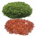 Dehydrated green/red bell pepper granules