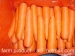 carrot,fresh carrot,Chinese carrot supplier