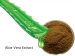 image of Herb Medicine - Aloe Vera Extract