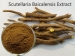 image of Herb Medicine - Scutellaria Baicalensis Extract