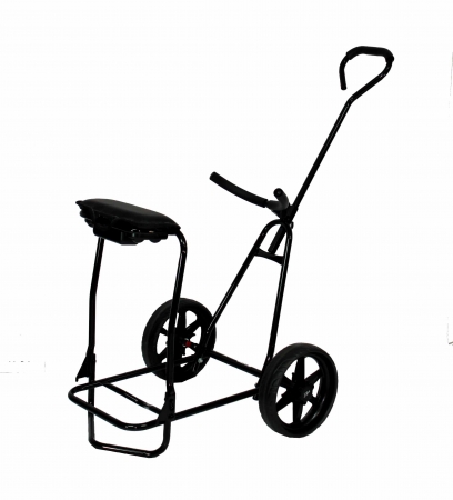 Golf Buggy with Seat