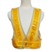 LED Lighted Safety Vest