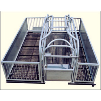 Elevated Farrowing Crate