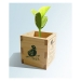 Mass Customization of Wooden Box - Result of Storage Box