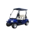 Electric carts - Result of golf