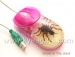Real bug amber USB optical mouse