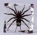 Resinic insect desk decoration (real tarantula) - Result of Desk Clock