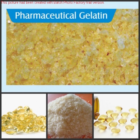 Pharmaceutical Gelatin for soft and hard capsule