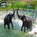 SELL BRONZE ELEPHANT FOUNTAIN ( PAIR ) - Result of Sculpture