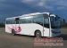 image of Other Auto Parts - Bus,city bus,CNG bus,touring bus,double decker bus