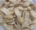 fried peanuts - Good Quality,Good Price - Result of Peanut Kernel
