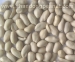 Blanched peanuts -Rich Material, Good Quality,Good