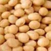 Soybean P.E.  - Result of bean