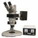 image of Microscope - Fluorescence Stereomicroscope