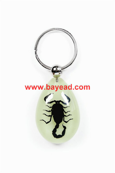  Real insect amber lucite keychains,bug keyring