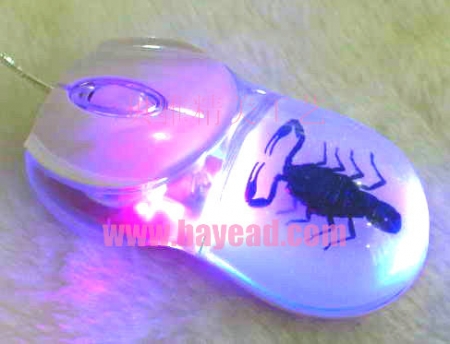 Real Scorpion Insect Amber Usb Optical Mouse
