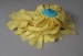 image of Cleaning Tool - Mop 