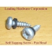 Pan Head Tapping Screw - Result of zinc oxide