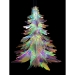 Christmas Tree Decoration - Result of Christmas Decoration