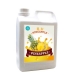 Pineapple Syrup - Result of Thai Milk Tea Powder