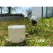 image of Biodegradable Urn - Biodegradable Cremation Urns
