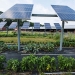 Solar Power System For Farm