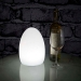 LED Egg Light - Result of barbecue accessory