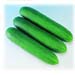image of Fresh Vegetable - Cucumber