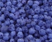 Blueberry concentrate (sales6 at lgberry dot com d - Result of Blueberry