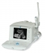 Portable Ultrasound Scanner - Result of Lenslet Array