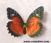 Imitation Butterfly - Result of christmas umbrella