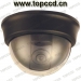 Dome color CCD Camera (www.topccd.cn)
