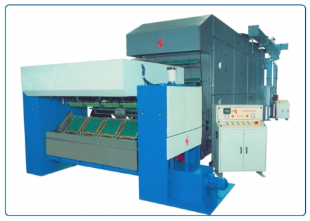 Rotary Pulp Moulding Plant with Online Drier