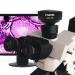 CCD Microscope Camera - Result of Binocular Microscope